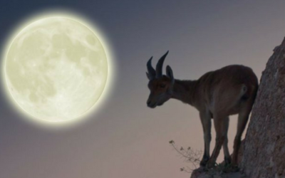 Capricorn Full Moon – Beyond Polarities – 12th July 2014