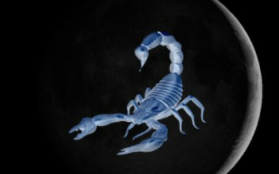 Scorpio Full Moon – Intensely Feeling – 4th May 2015