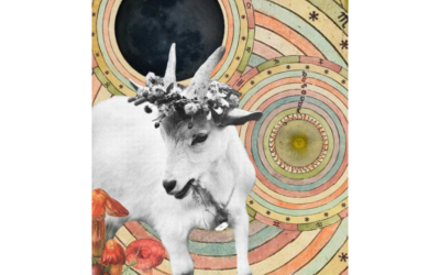 capricorn new moon – 1.1.2014