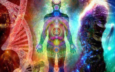 What Makes Us Happy – Biology, Happiness, DNA