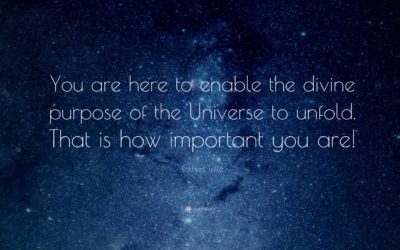 Finding Our Divine Purpose