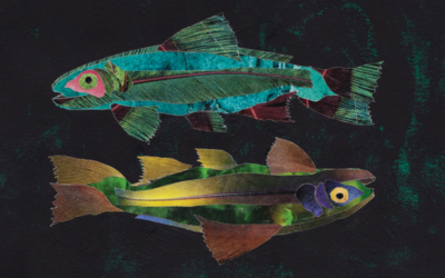 Pisces Full Moon – The Wet and The Wetter – 9th September 2014