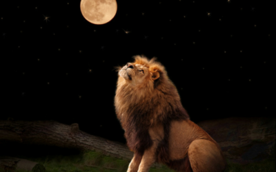 Full Moon In Leo – Purification – 24th January 2016