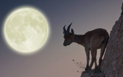 Capricorn Full Moon 2017 – Breakdown The Intensity