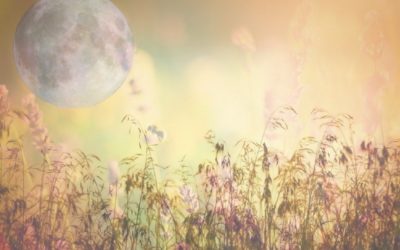 Leo Blue ‘Super’ Full Moon Eclipse