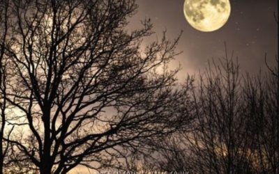 Taurus Full Moon – No More Waiting