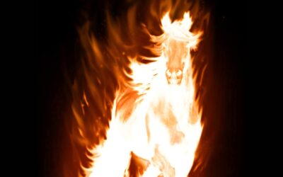 Aquarius Solar Eclipse 2026