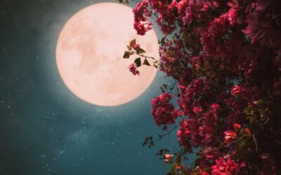 Sagittarius Full Moon 2026