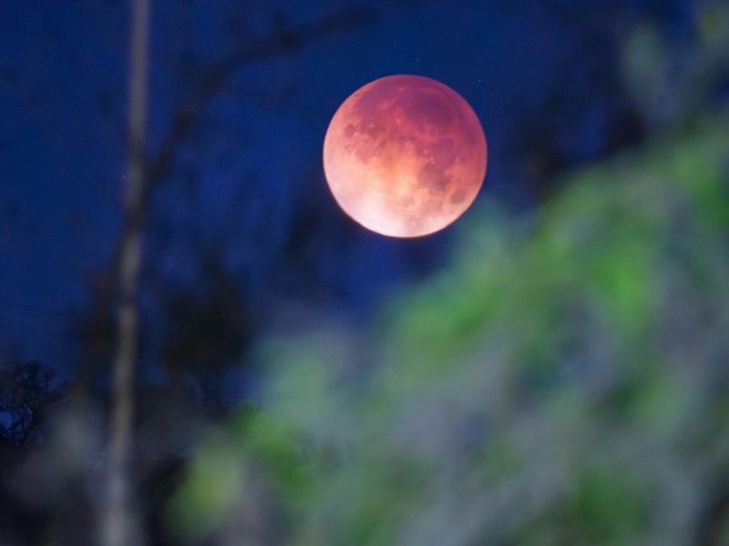 Pisces Partial Lunar Eclipse 2026